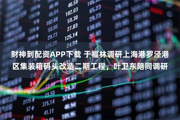 财神到配资APP下载 于福林调研上海港罗泾港区集装箱码头改造二期工程，叶卫东陪同调研