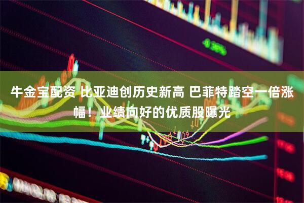 牛金宝配资 比亚迪创历史新高 巴菲特踏空一倍涨幅！业绩向好的优质股曝光