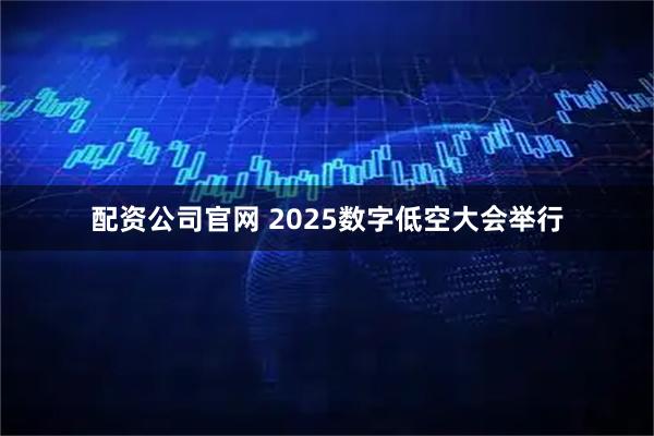 配资公司官网 2025数字低空大会举行