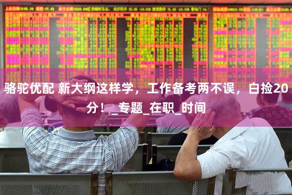 骆驼优配 新大纲这样学，工作备考两不误，白捡20分！_专题_在职_时间
