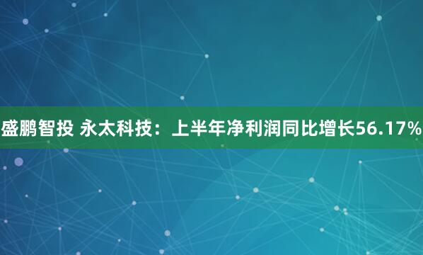 盛鹏智投 永太科技：上半年净利润同比增长56.17%