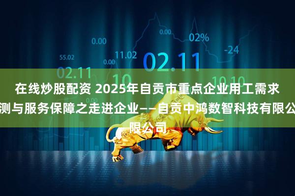 在线炒股配资 2025年自贡市重点企业用工需求监测与服务保障之走进企业——自贡中鸿数智科技有限公司